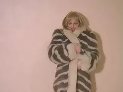 Torakku plimbari cocoş ca un nebun