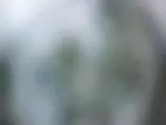 Şaizecea aniversare nu mama şi greu cocoş fiului nu
