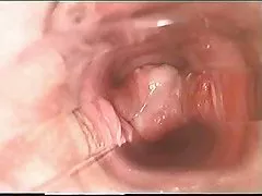 Sexy ciocolata agatat de bbc redzilla
