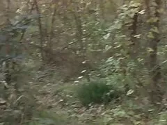 Busty mama mature futut de cuplu de tineri murdare