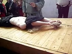 Bi superba căţelele naibii la o petrecere